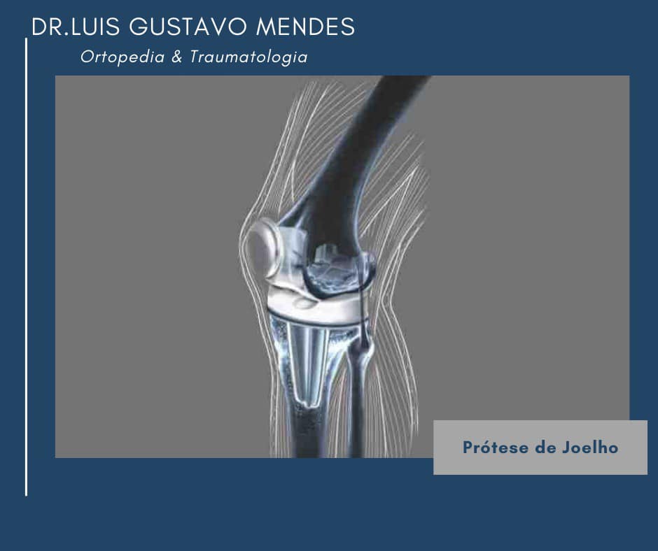 DR. LUÍS GUSTAVO DI PIERO MENDES