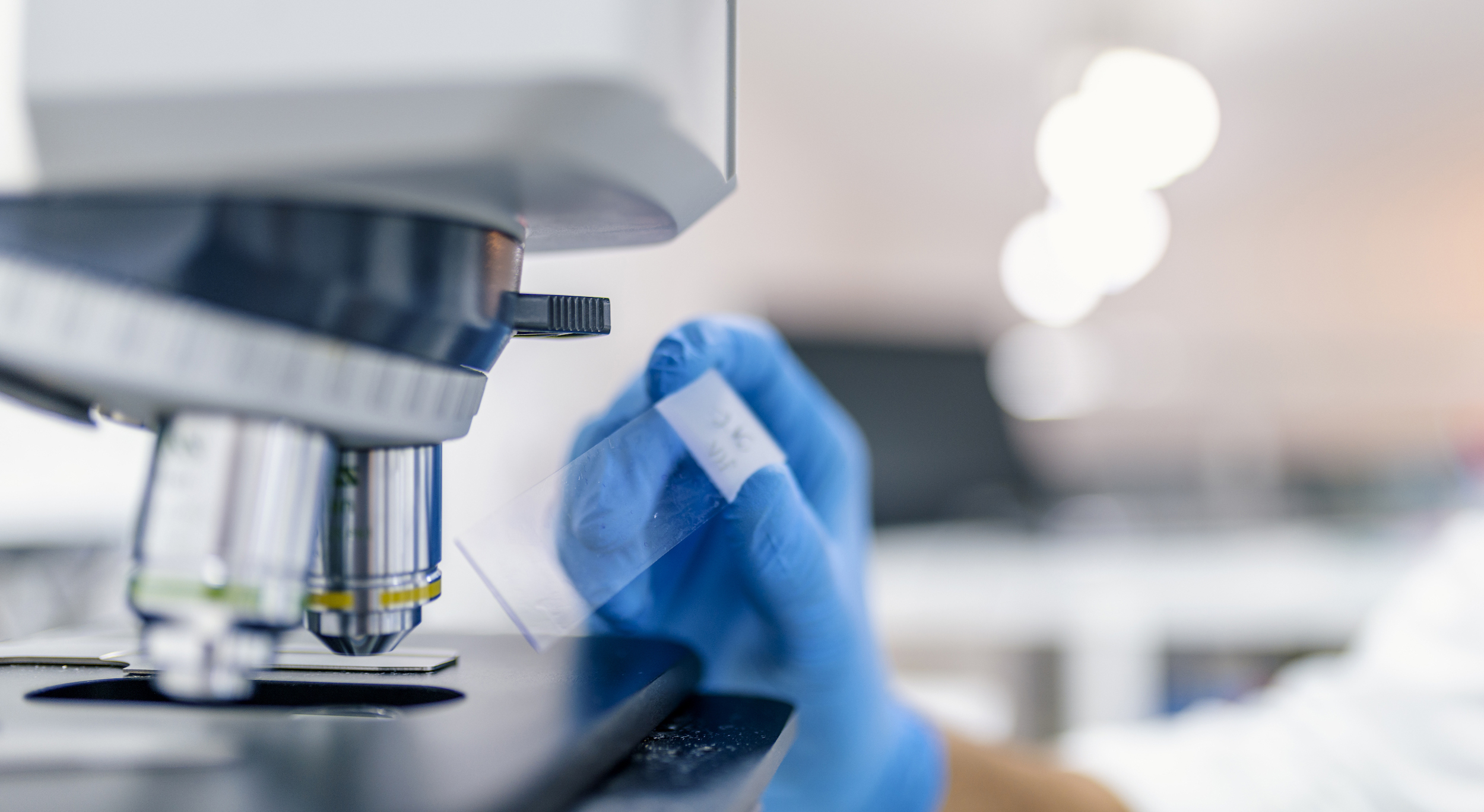 BYORI - LABORATÓRIO DE PATOLOGIA